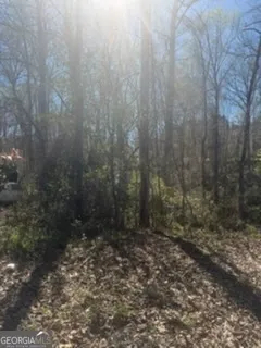 10996 Shannon CIR Hampton, GA 30228