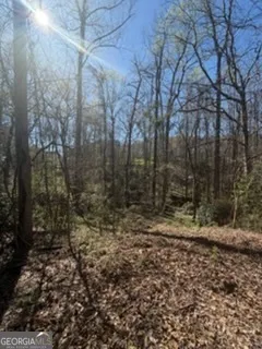 11005 Regents CT Hampton, GA 30228