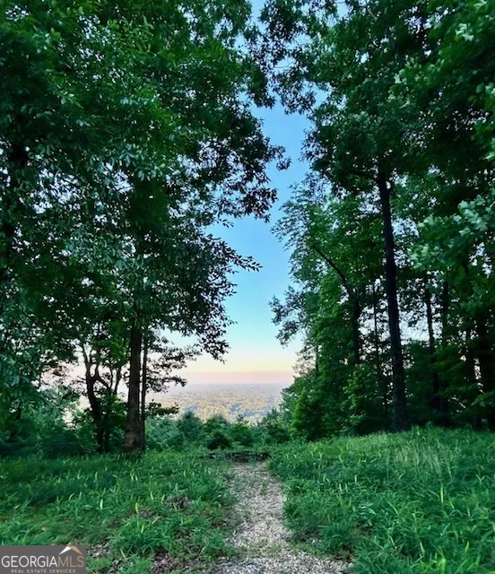 0 Mountainside DR Cleveland, GA 30528