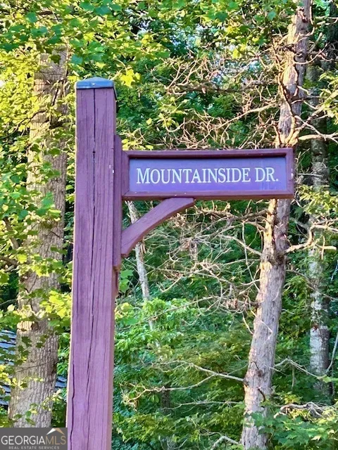 0 Mountainside DR Cleveland, GA 30528