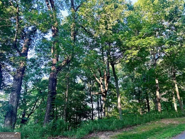 0 Mountainside DR Cleveland, GA 30528
