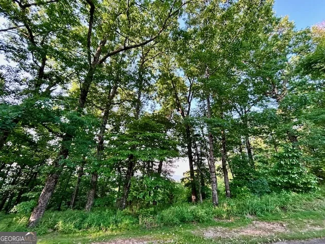 0 Mountainside DR Cleveland, GA 30528