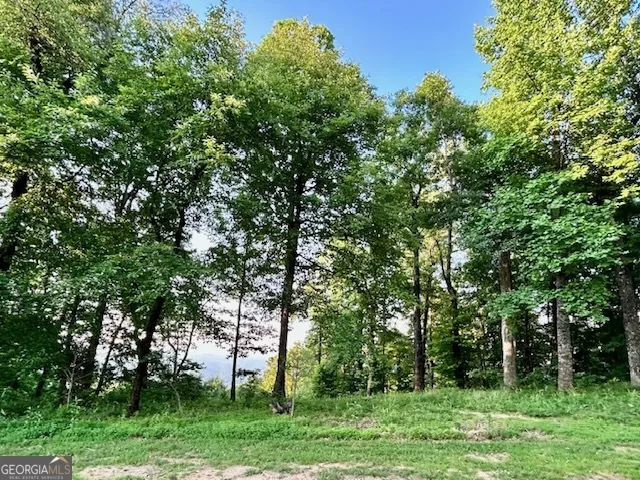 0 Mountainside DR Cleveland, GA 30528
