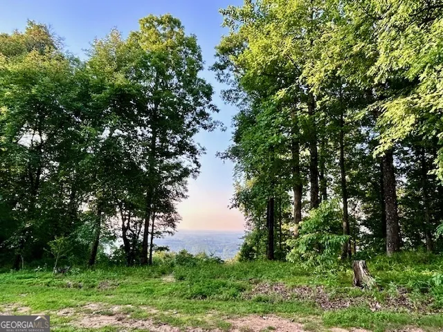 0 Mountainside DR Cleveland, GA 30528
