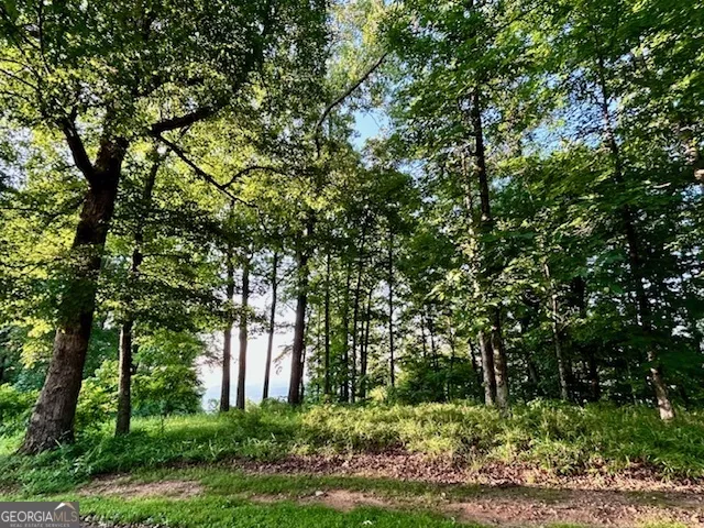 0 Mountainside DR Cleveland, GA 30528