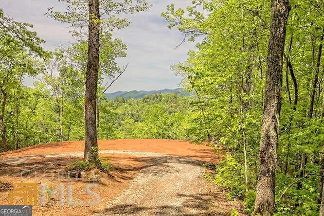0 Wynngate DR Dillard, GA 30537