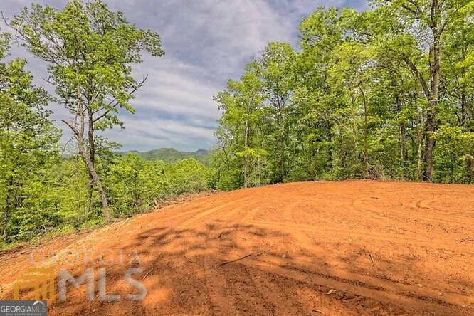 0 Wynngate DR Dillard, GA 30537