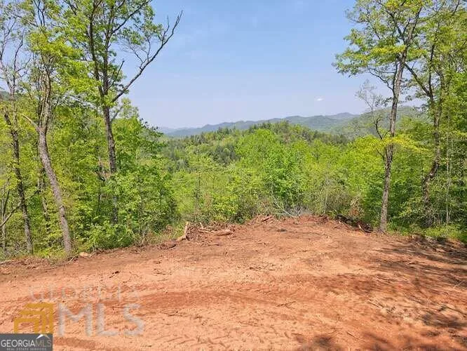 0 Wynngate DR Dillard, GA 30537