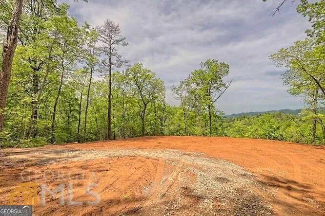 0 Wynngate DR Dillard, GA 30537