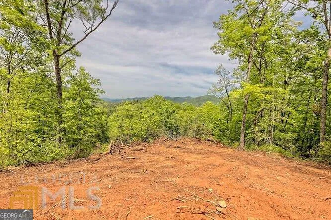0 Wynngate DR Dillard, GA 30537