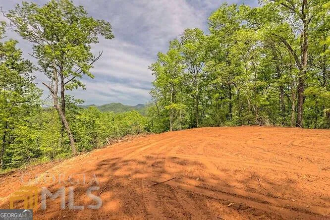 0 Wynngate DR Dillard, GA 30537