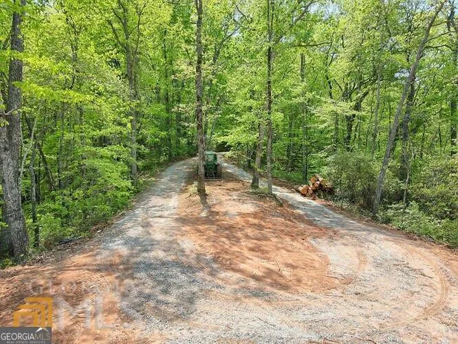 0 Wynngate DR Dillard, GA 30537