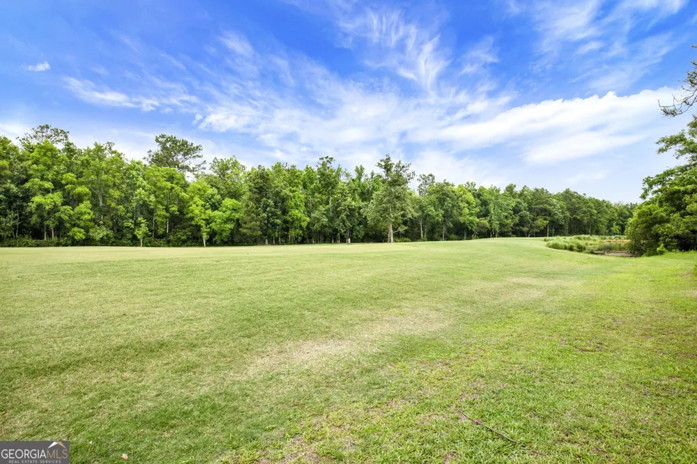 381 Hogan DR Richmond Hill, GA 31324