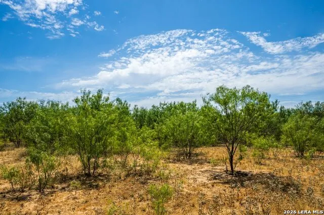 FM2200 2200 Yancey, TX 78886