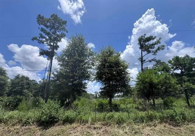 426 County Road 1420 Warren, TX 77664