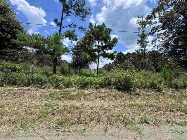 426 County Road 1420 Warren, TX 77664
