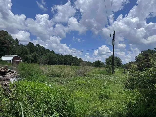 426 County Road 1420 Warren, TX 77664