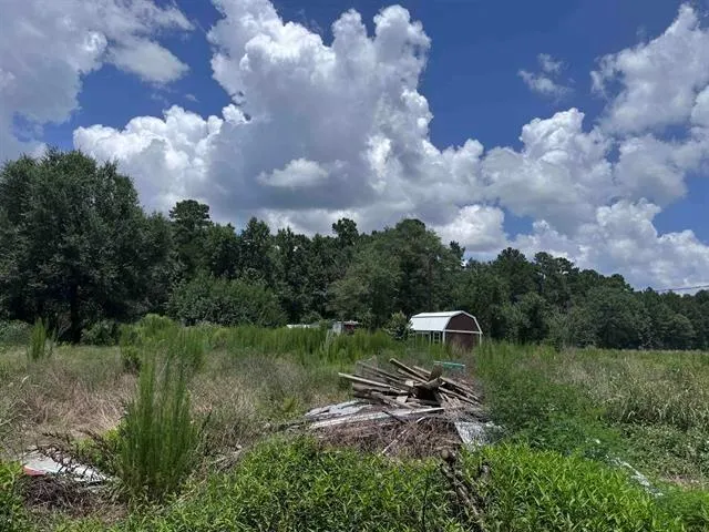 426 County Road 1420 Warren, TX 77664