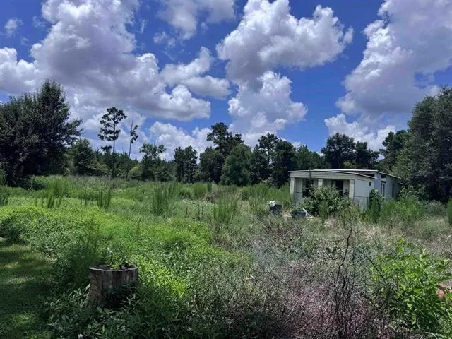 426 County Road 1420 Warren, TX 77664