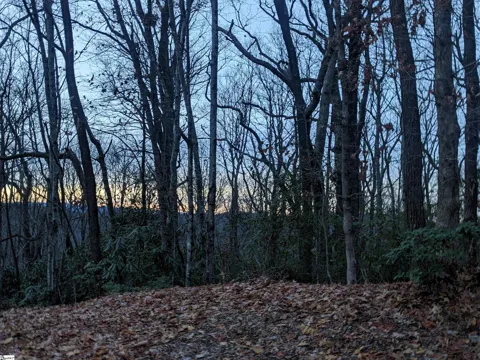 609 Cliff Ridge Drive