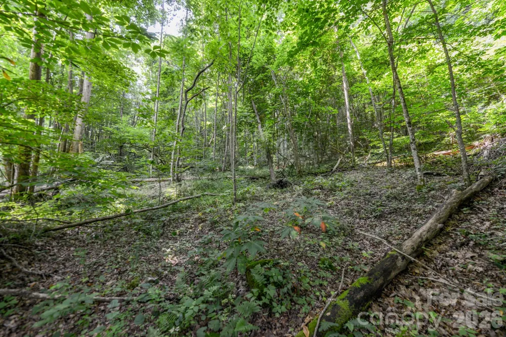 ### Board Tree Road #1 Marshall, NC 28753