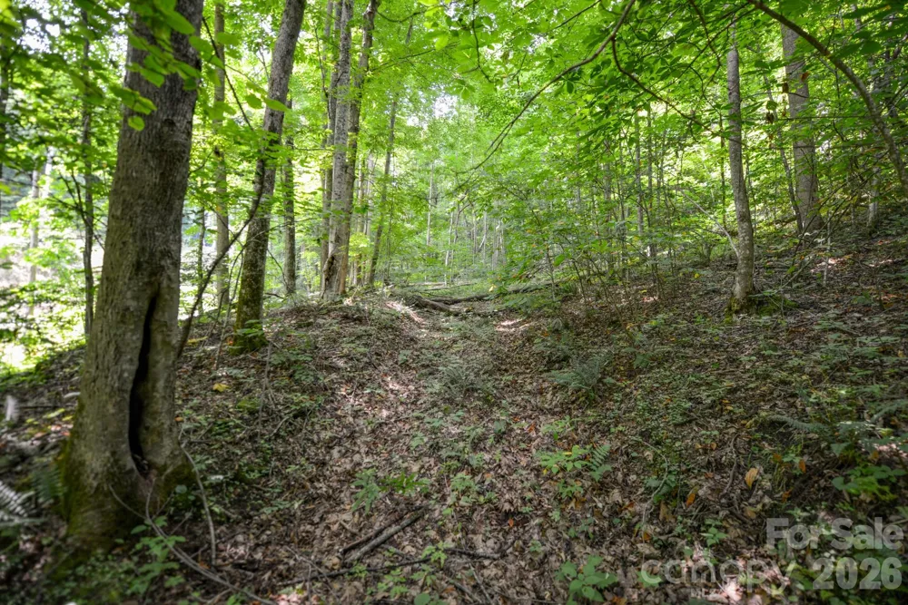 ### Board Tree Road #1 Marshall, NC 28753