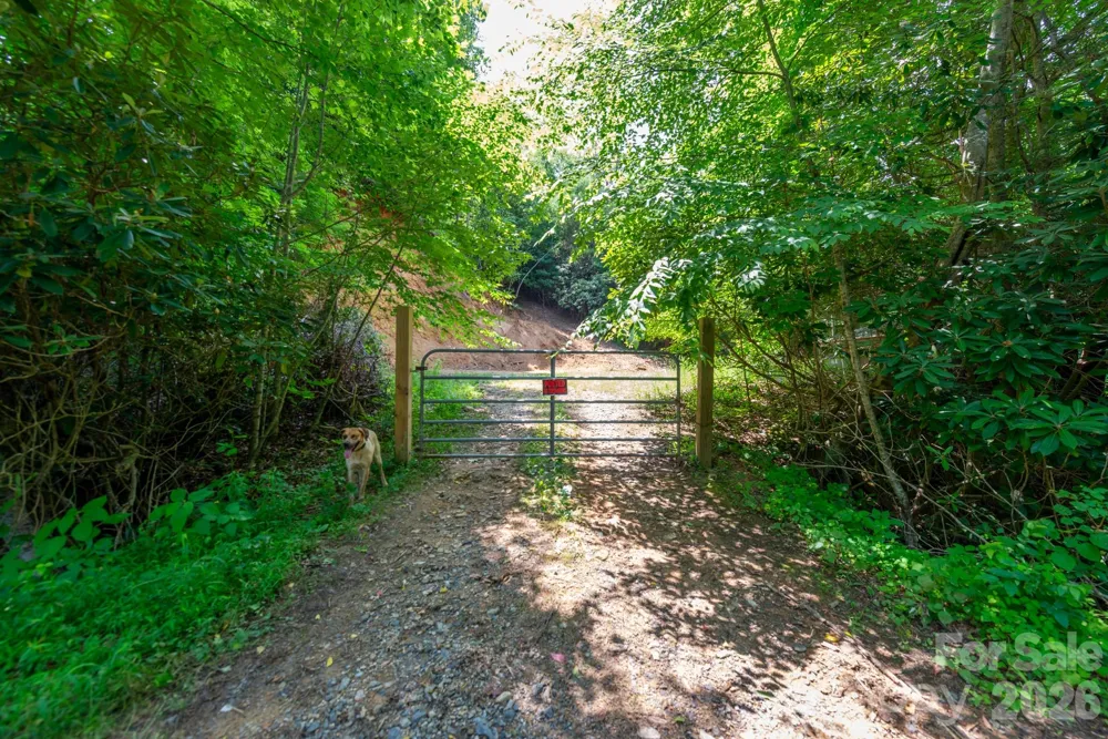 ### Board Tree Road #1 Marshall, NC 28753