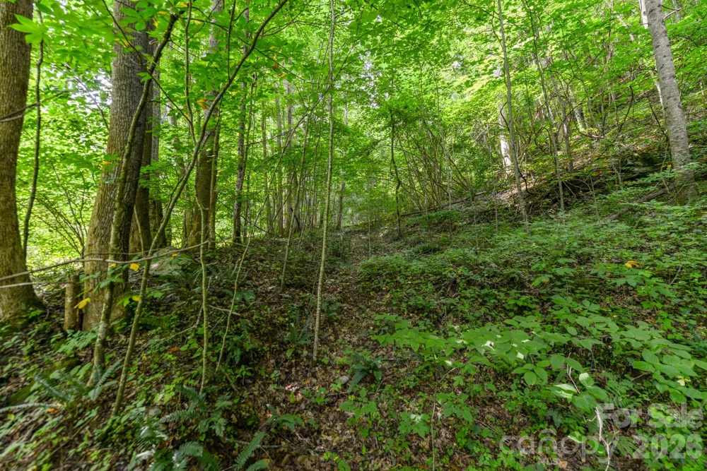 ### Board Tree Road #2 Marshall, NC 28753