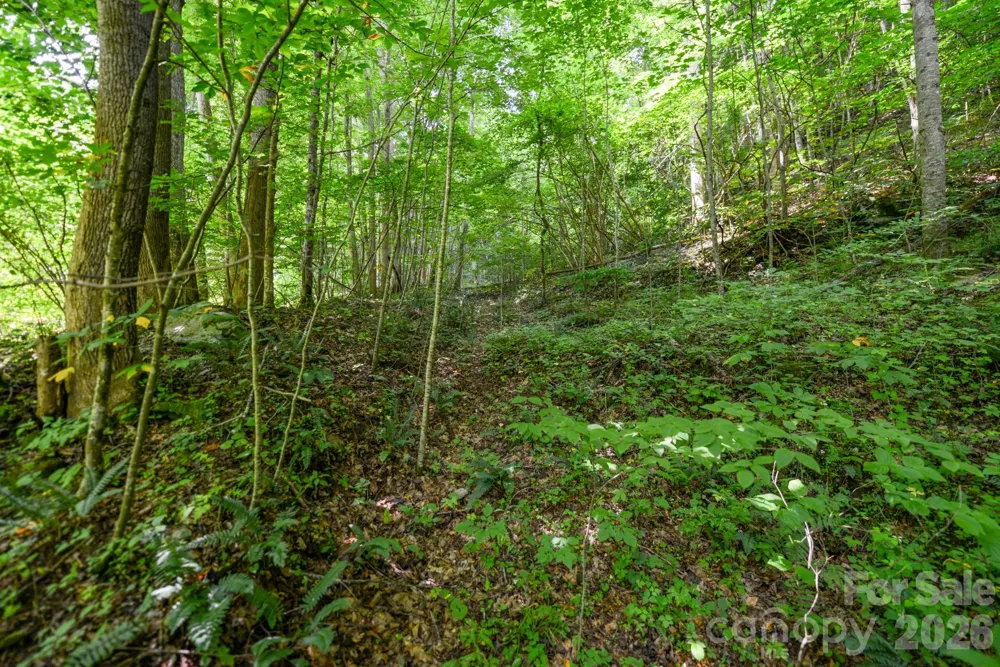 ### Board Tree Road #2 Marshall, NC 28753