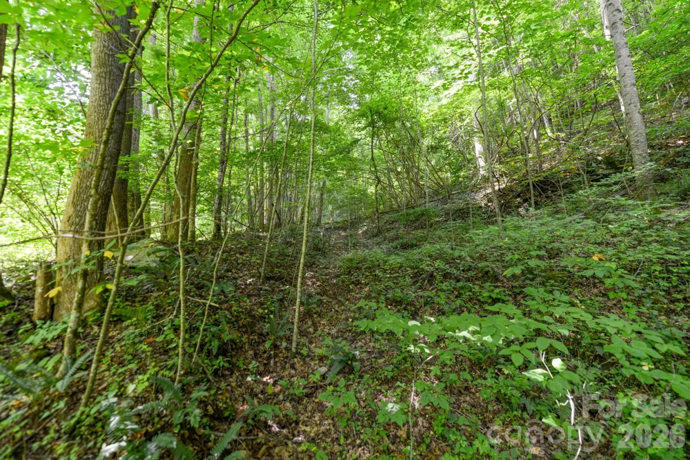 ### Board Tree Road #2 Marshall, NC 28753