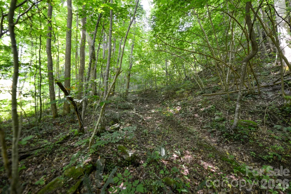 ### Board Tree Road #2 Marshall, NC 28753