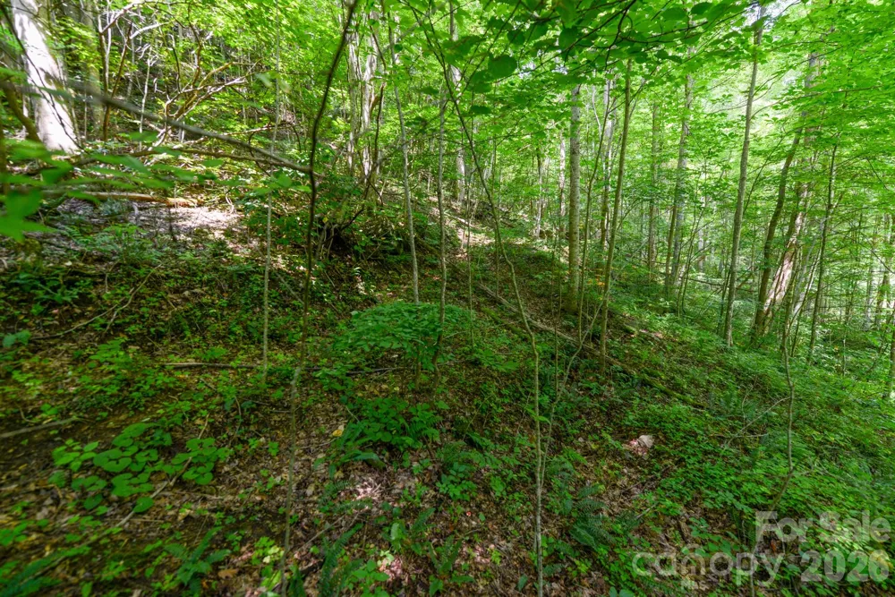 ### Board Tree Road #2 Marshall, NC 28753