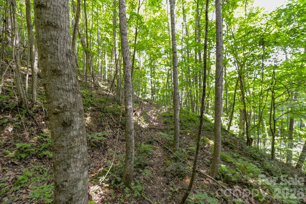 ### Board Tree Road #2 Marshall, NC 28753