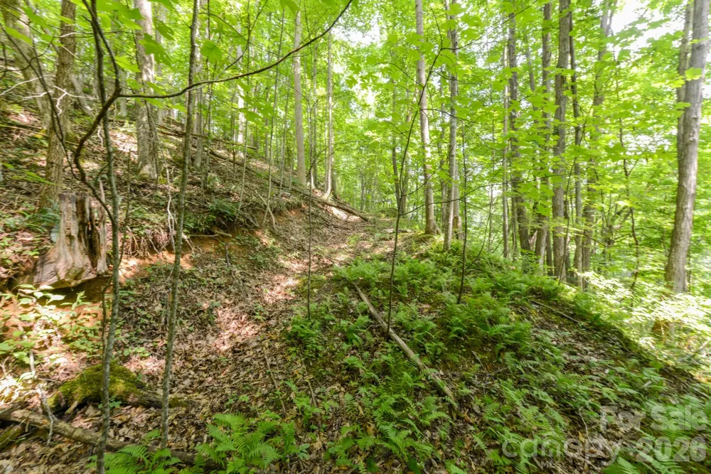 ### Board Tree Road #2 Marshall, NC 28753