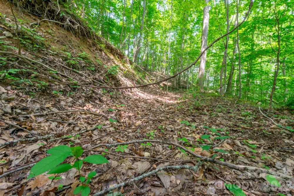 ### Board Tree Road #2 Marshall, NC 28753