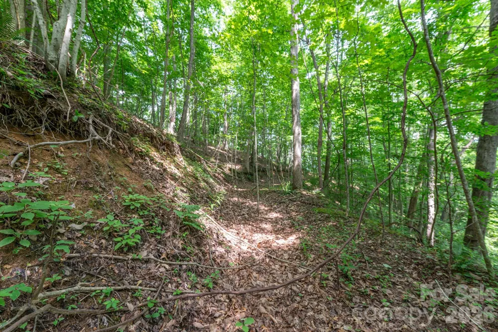 ### Board Tree Road #2 Marshall, NC 28753