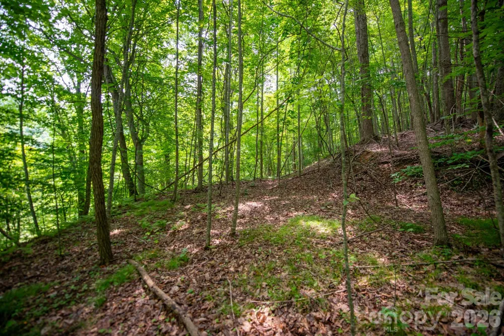 ### Board Tree Road #2 Marshall, NC 28753