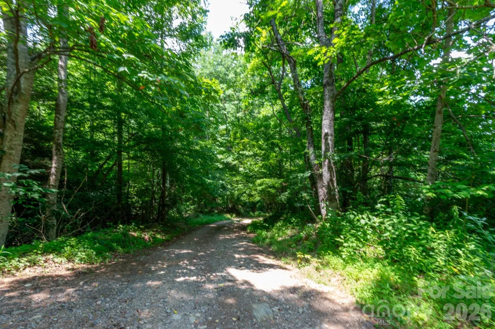### Board Tree Road #2 Marshall, NC 28753