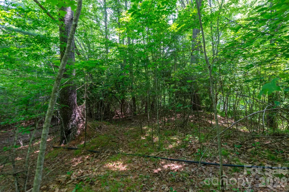 ### Board Tree Road #4 Marshall, NC 28753
