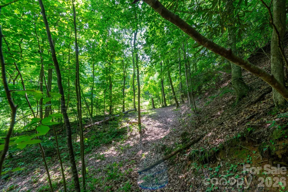 ### Board Tree Road #4 Marshall, NC 28753