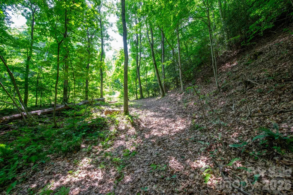 ### Board Tree Road #4 Marshall, NC 28753
