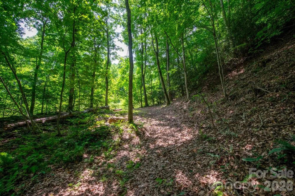 ### Board Tree Road #4 Marshall, NC 28753