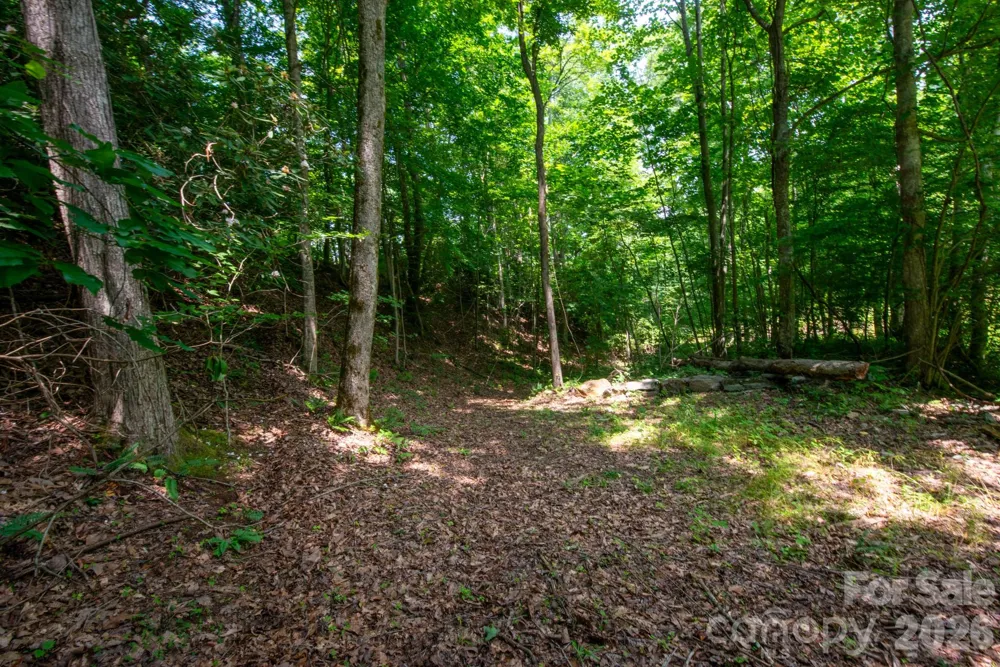 ### Board Tree Road #4 Marshall, NC 28753
