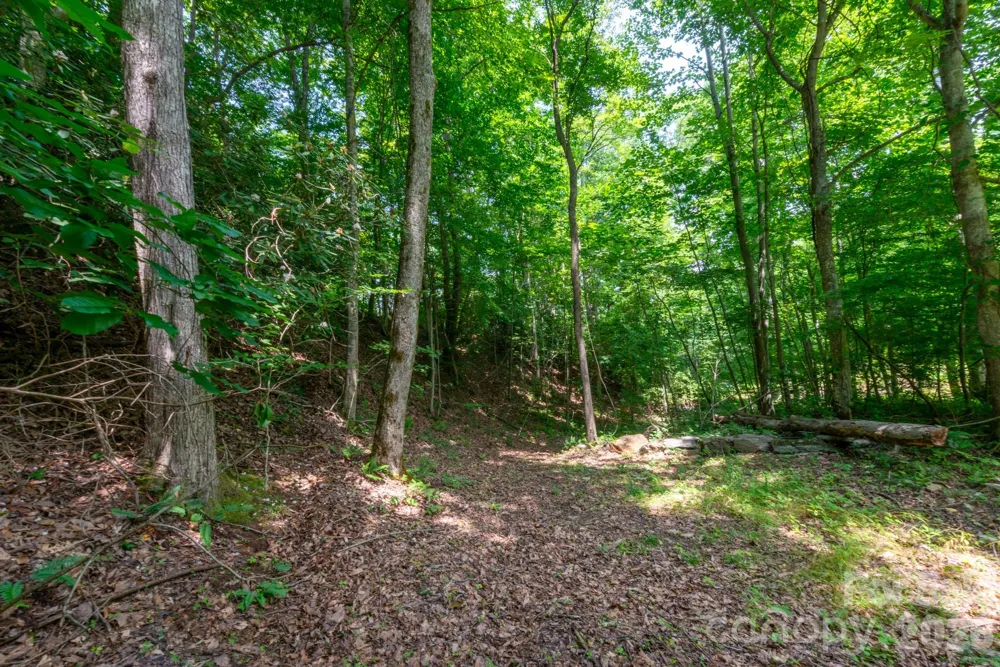 ### Board Tree Road #4 Marshall, NC 28753