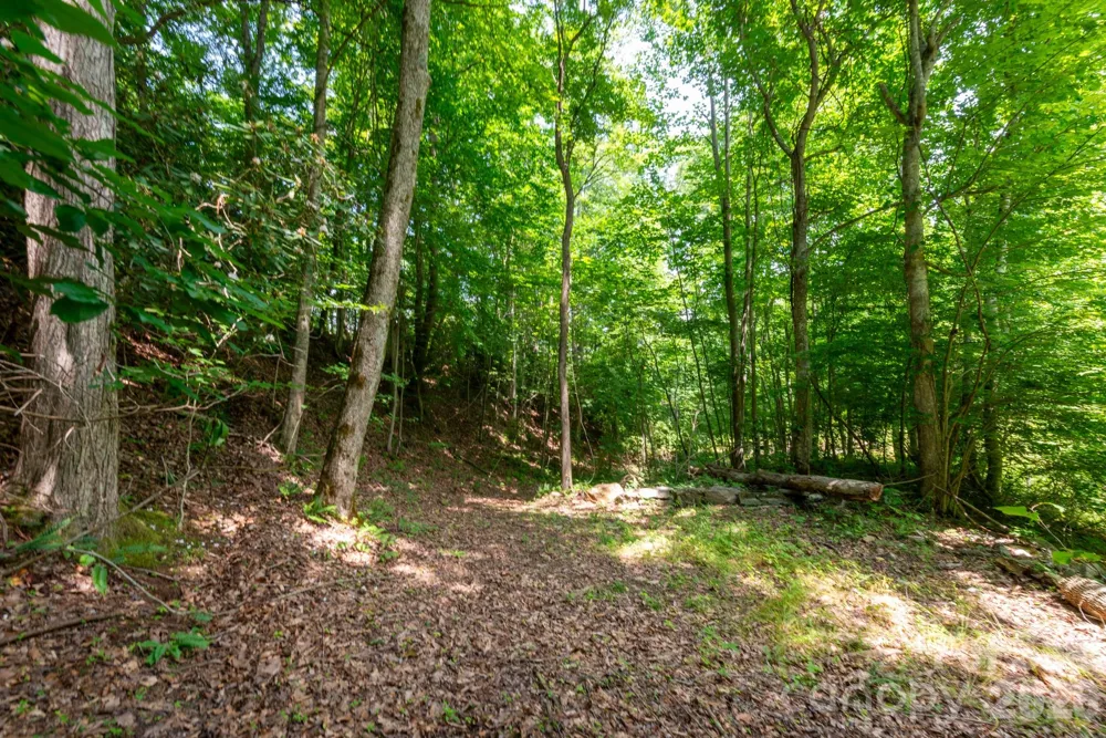 ### Board Tree Road #4 Marshall, NC 28753