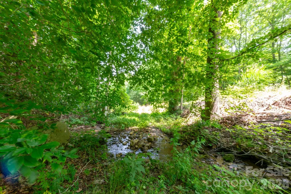 ### Board Tree Road #4 Marshall, NC 28753