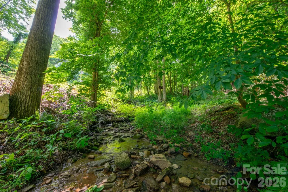 ### Board Tree Road #4 Marshall, NC 28753