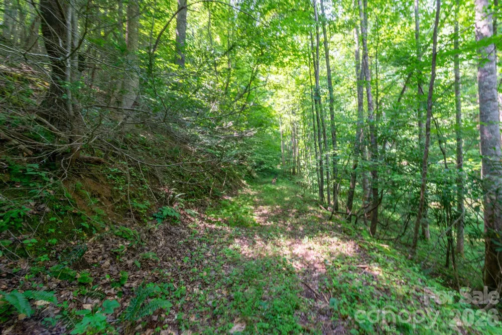 ### Board Tree Road #6 Marshall, NC 28753