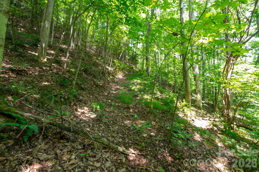 ### Board Tree Road #6 Marshall, NC 28753