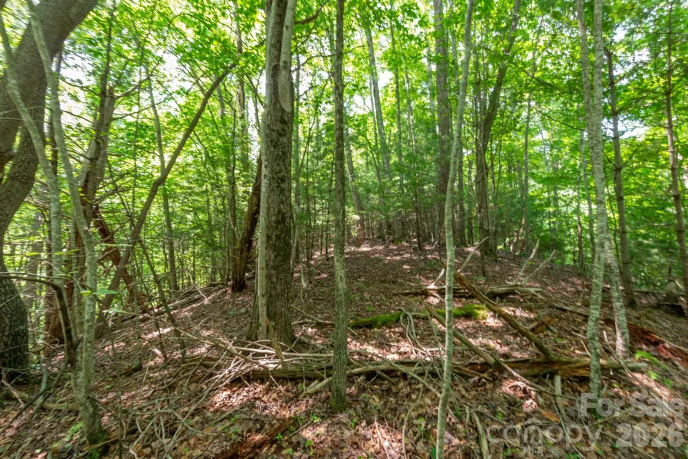 ### Board Tree Road #6 Marshall, NC 28753